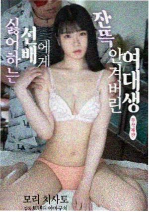 剧集夜航灯塔封面图